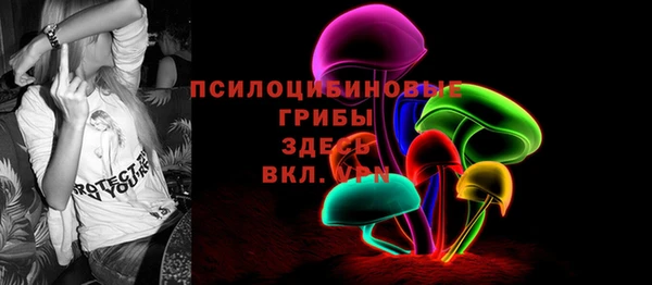 apvp Абаза