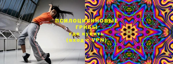 МДПВ Алзамай